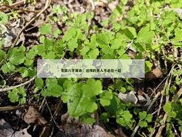 这样的男人不必在一起