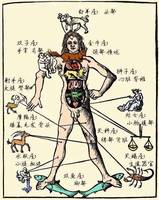 十二星座健康风险及疾病倾向揭秘
