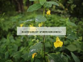 離火運對什麼命的人好？運氣最好的九紫離火命是什麼？