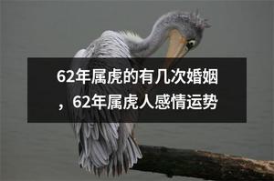 62年屬虎婚配，運勢解析：揭秘婚姻次數與搭配技巧