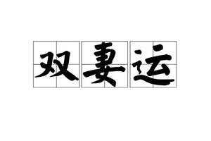 双妻运非两妻命，嫁双妻运男非明智选