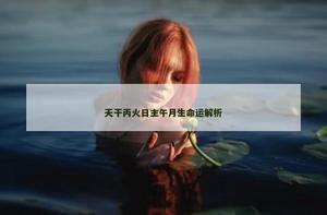 天干丙火日主午月生命运解析