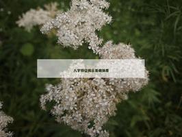 八字特征揭示易病体质