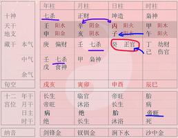 日坐傷官八字不利，易導致婚姻不順，可能離婚。
