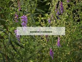 如何根據生辰八字選擇結婚吉日