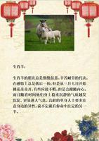 生肖好运旺桃花，12月中旬四大生肖恋情旺！