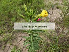 丙午日生人最忌幾月 丙午克妻可以化解嗎