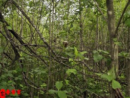嫁這樣的男人能幸福過日子