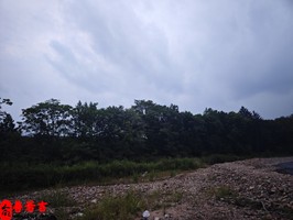 探索婚姻年齡測算方法精準匹配測算工具與實用建議