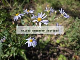 高人汇免费算命：你平时健康好不好，从生日可以看出来