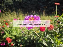 年柱比肩坐正官是什麼意思？正官坐比肩後代好嗎？