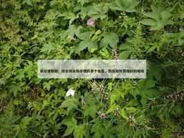 综合风水和命理的多个角度，教你如何获得好的姻缘