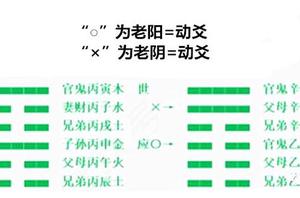 动爻在六爻中的解读方法