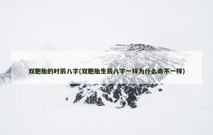 雙胞胎的時辰八字(雙胞胎生辰八字一樣為什麼命不一樣)
