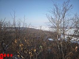 命好的女人八字標準特徵
