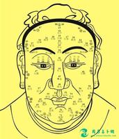 面相佳，財運旺，官運昌，福祿雙全，人生贏家！