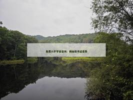 免費八字學業諮詢：揭秘讀書運走勢