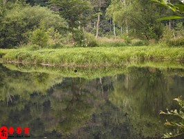 富人變窮人的八字有何特點呢