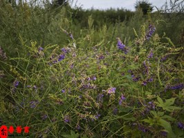 什麼時候的生辰八字代表著你家境好