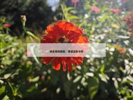 地支相刑相害：情感运势分析