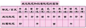 女命月日雙桃花命例，桃花運勢解析。