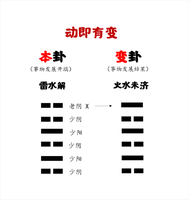 六爻变动显天机