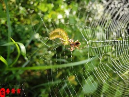 出生在幾點的人最好命