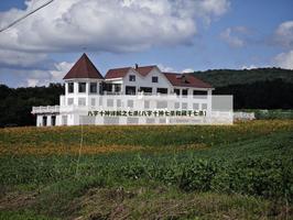 八字十神详解之七杀(八字十神七杀和藏干七杀)