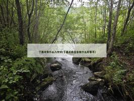 丁酉辛亥什麼八字好(丁酉壬辰合會有什麼好事不)