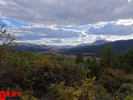 命硬的人八字如何看出來