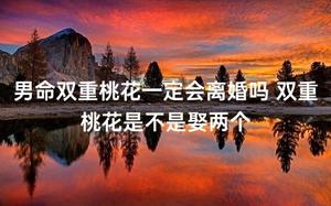 男命双重桃花，离婚与否未定，娶两个并非必然。